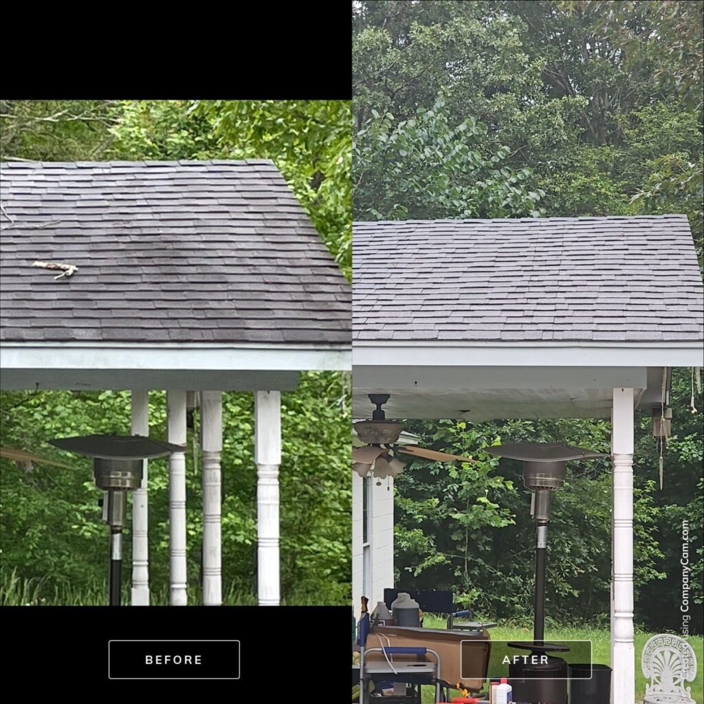 Asphalt roof cleaning